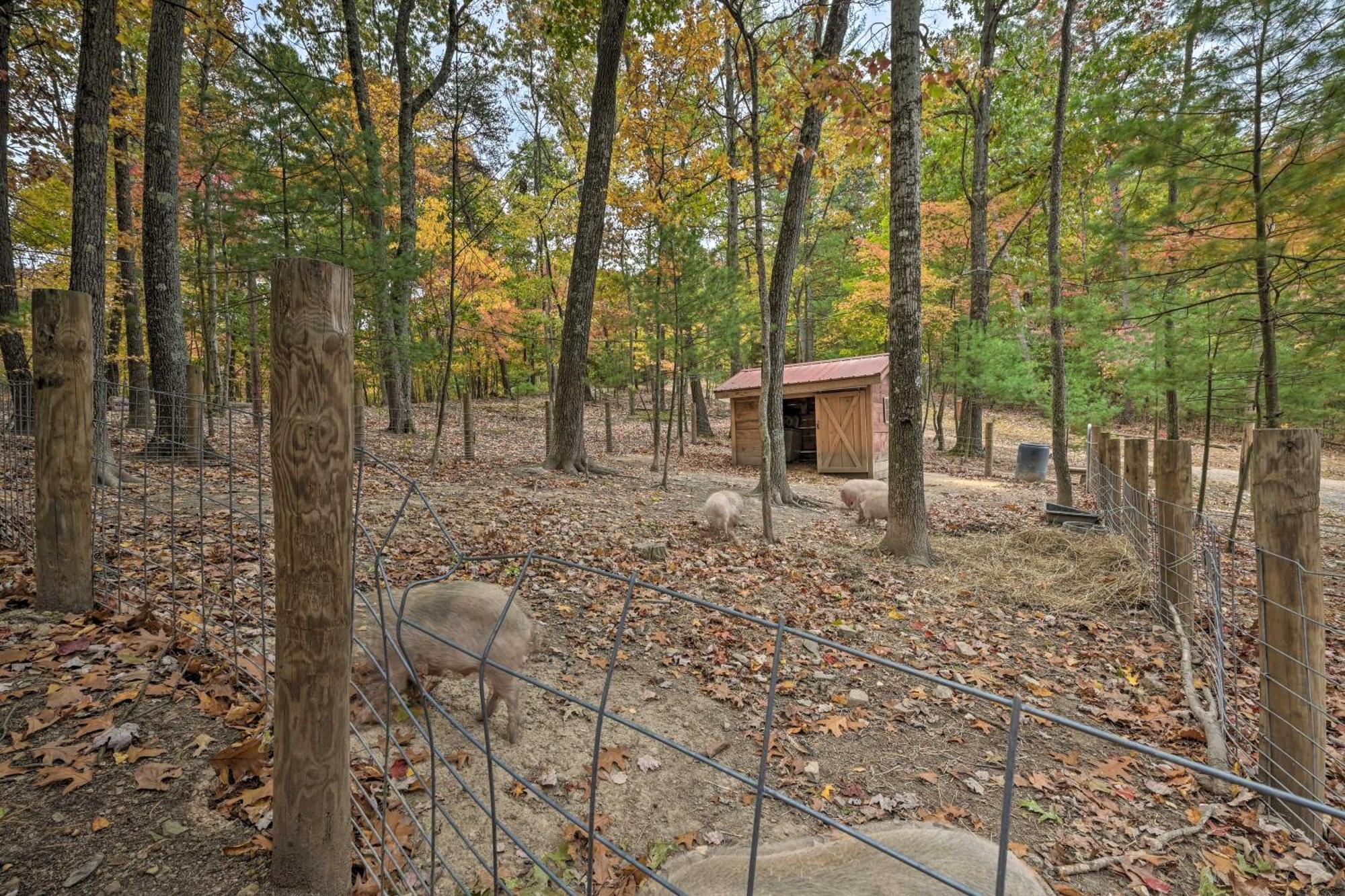 Lucas Mccain Cabin 5 Mi To Raystown Lake Launch! 헌팅던 외부 사진